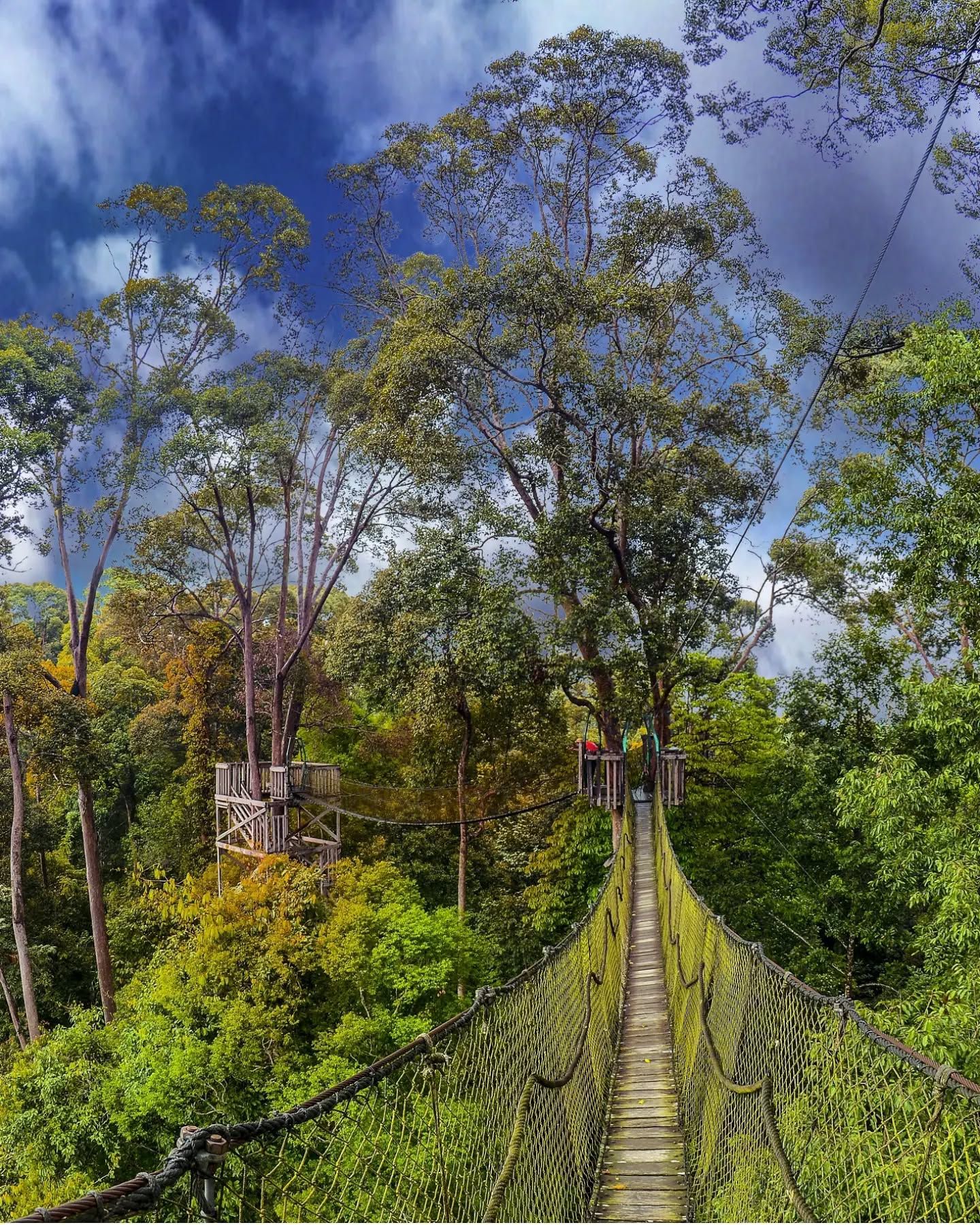 Wajib Dikunjungi! Ini 5 Destinasi Wisata Unggulan di Kalimantan Timur