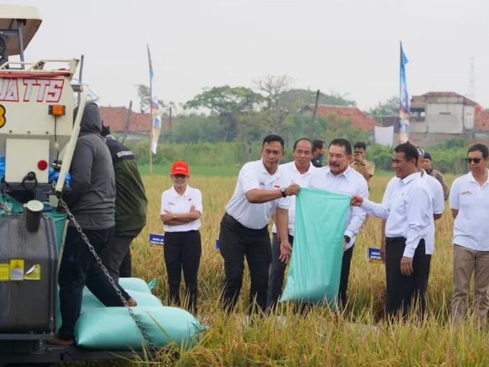 Panen Raya dari Lahan Rampasan Korupsi di Bekasi, Hasilnya Tembus 7 Ton per Hektare
