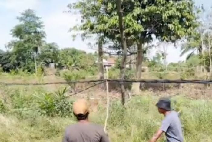 PLN Tebo Akan Perbaiki Kabel Listrik Menjuntai di Wilayah Bungkal