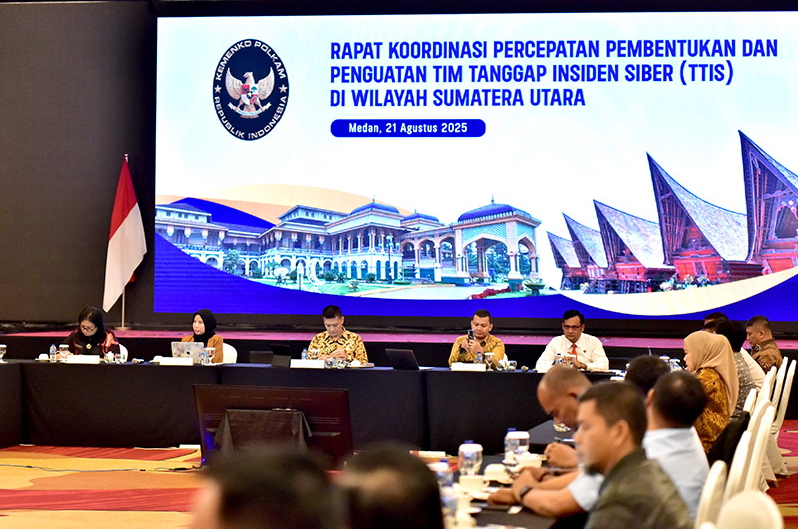 Pembentukan TTIS di Sumut Tersendat, Keterbatasan SDM Jadi Kendala Utama