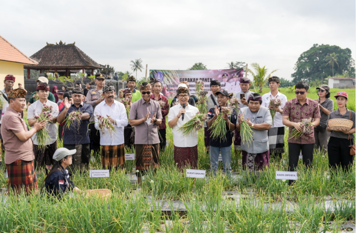 Panen Perdana Pengembangan Bawang Merah di Subak Padedekan, Angantaka