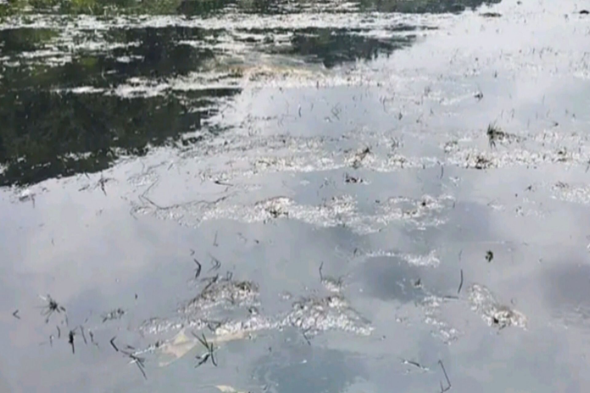 Pipa Minyak PT Vale di Luwu Timur Bocor, Tumpahan Mengalir ke Irigasi Cemari Sawah Warga