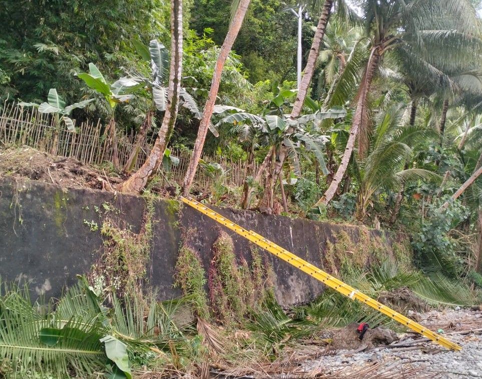 Petugas PLN Loncat dari Tangga Setelah Potong Ranting Pohon di Desa Larike Maluku Tengah, Ini Penyebabnya