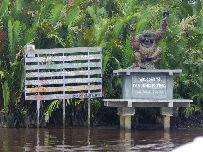 7 Wisata Alam Terbaik di Pulau Kalimantan: Surga Tersembunyi dengan Keajaiban Rimba