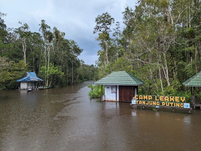 7 Wisata Alam Terbaik di Pulau Kalimantan: Surga Tersembunyi dengan Keajaiban Rimba
