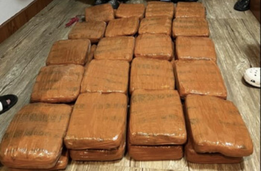 Polda Lampung Gagalkan Penyelundupan 40 Kilogram Ganja, Kurir Asal Padang Ditangkap