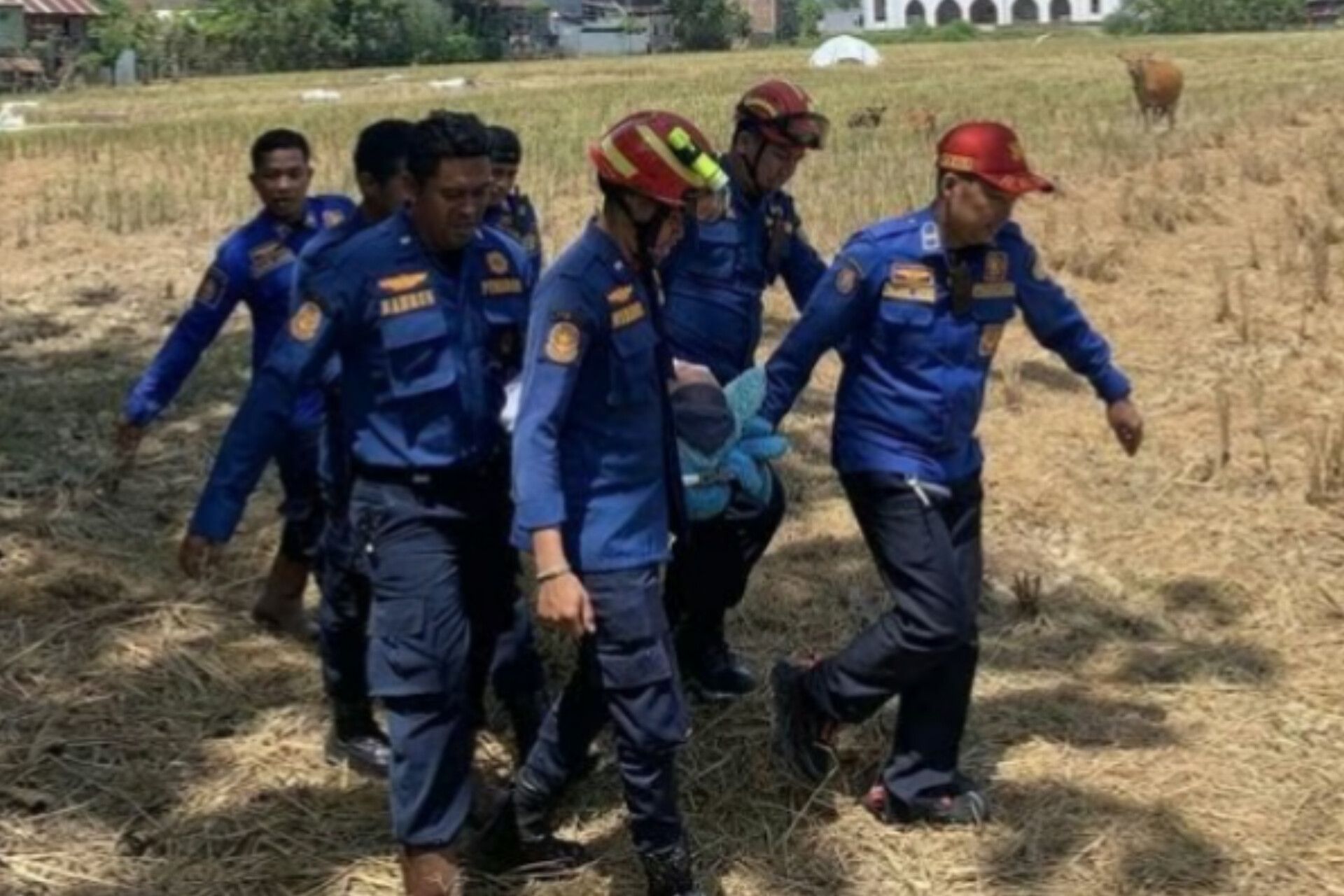 Rumah Tak Bisa Dijangkau Ambulans, Pasien Stroke di Barru Ditandu Damkar Lewat Sawah untuk Berobat
