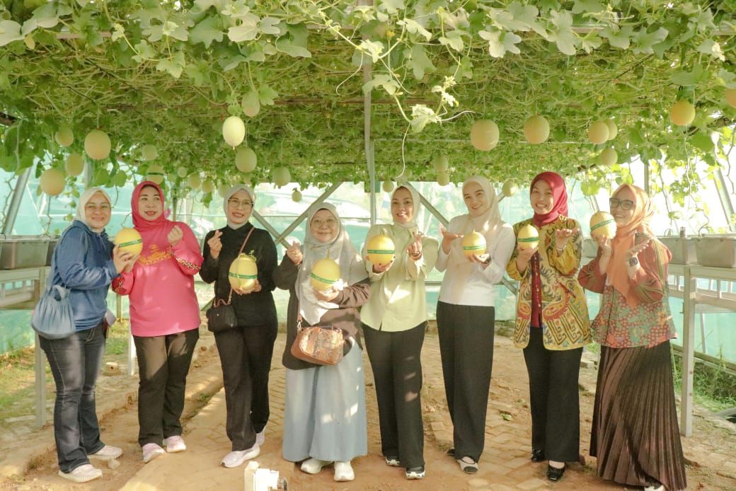 Agropark Lampung Panen Buah Melon Hingga Sayuran