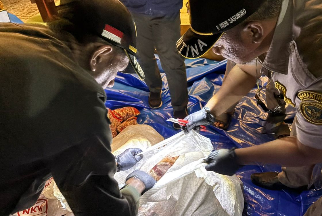 Karantina Lampung Gagalkan Pengiriman Ilegal 3 Ton Daging Ayam