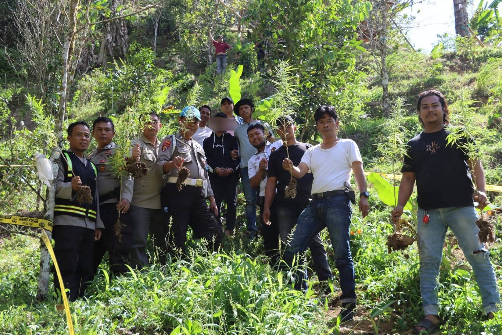 Polisi Bongkar Bisnis Ganja di Bulukumba, Pelaku Belajar Tanam dari YouTube lalu Jualan di Instagram