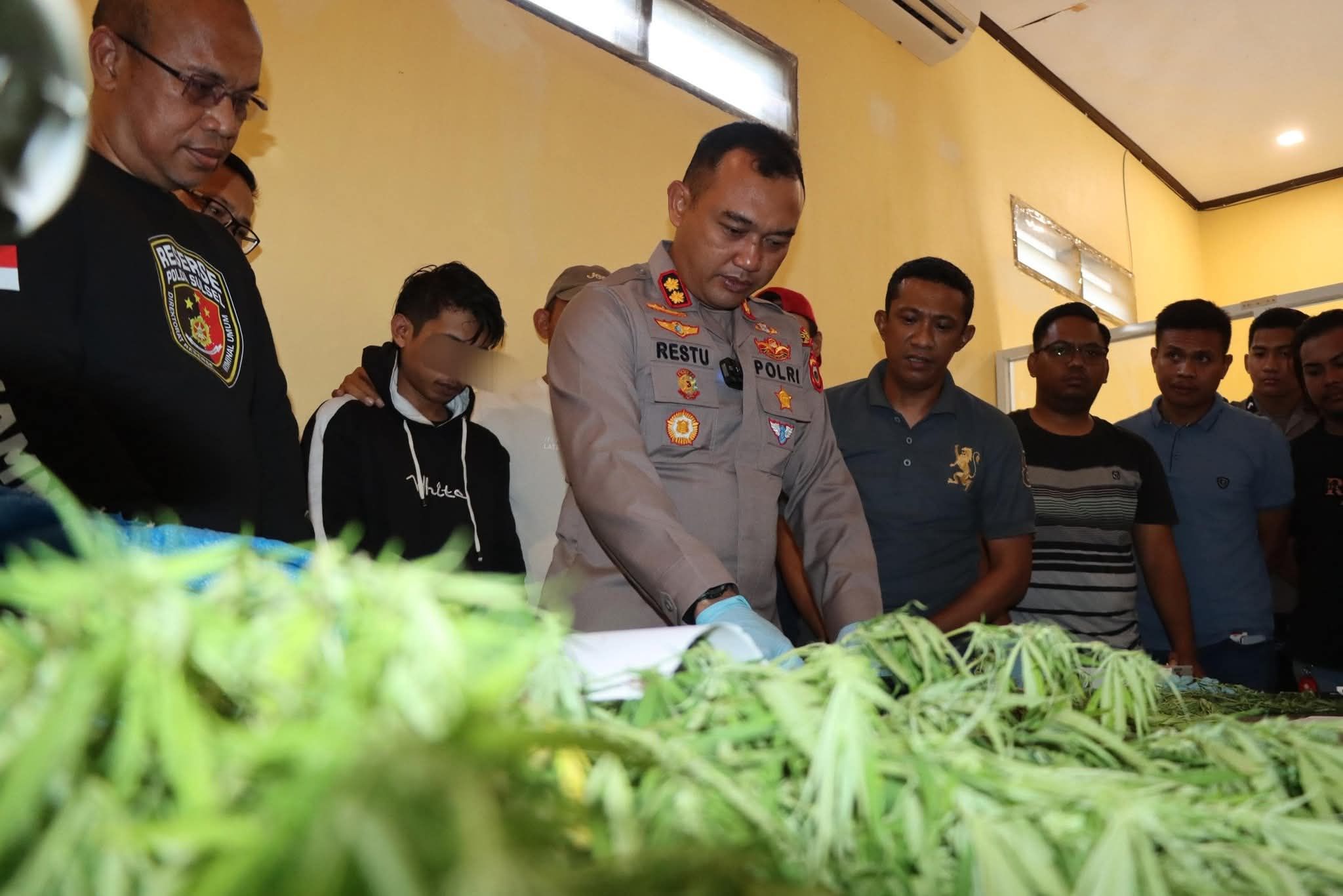 Polisi Bongkar Bisnis Ganja di Bulukumba, Pelaku Belajar Tanam dari YouTube lalu Jualan di Instagram