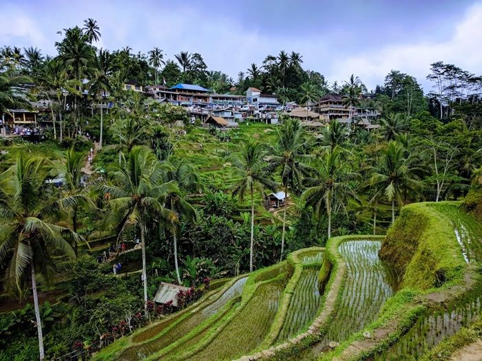 7 Tempat Wisata Paling Hits di Bali yang Wajib Kamu Kunjungi: Bukti Pulau Dewata Gak Hanya Sajikan Keindahan Pantai!