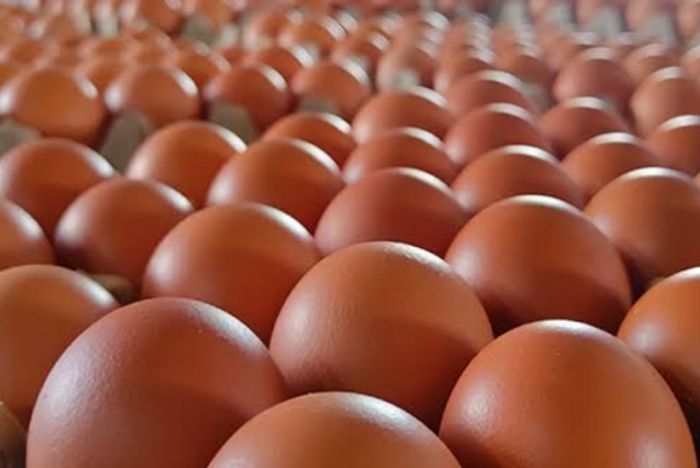 Harga Telur di Pasar Aur Duri Kota Jambi Naik, Pedagang Keluhkan Pasokan Terbatas