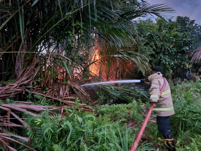BPBD Catat 19,5 Hektar Lahan Terbakar di Aceh Besar Minggu Ini