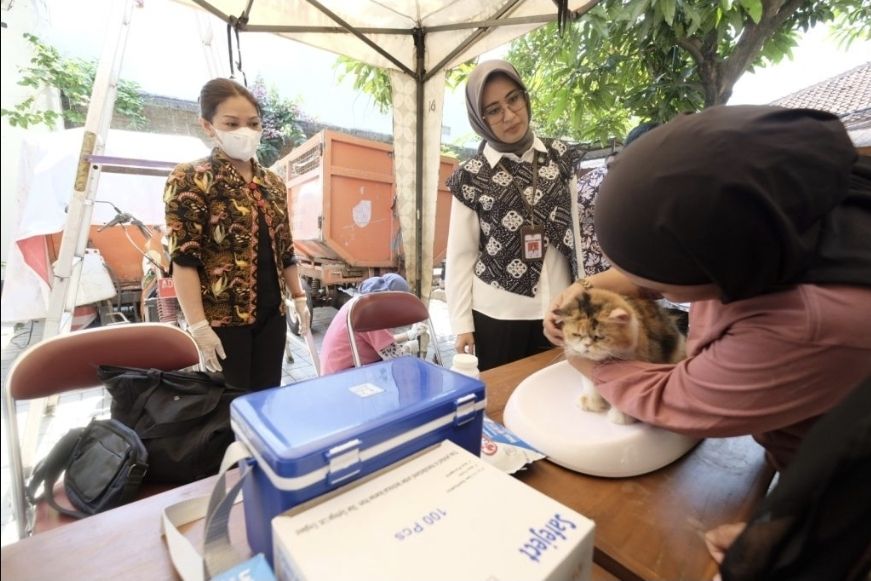 Vaksin Rabies Gratis di Surakarta Lindungi Hewan dan Pemiliknya