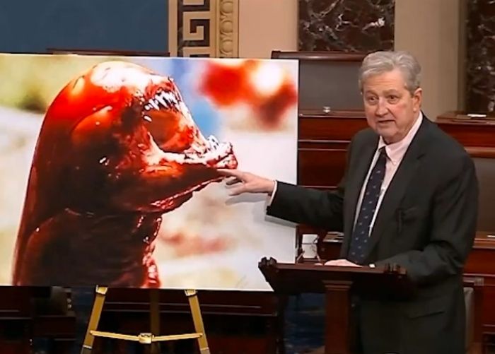 Senator AS Sebut Udang Indonesia Bisa Bikin Manusia Jadi Alien