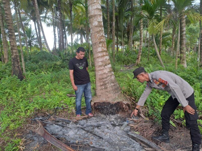 Cekcok Rumah Tangga Berujung Tragis, Warga Aceh Utara Nekat Bakar Diri