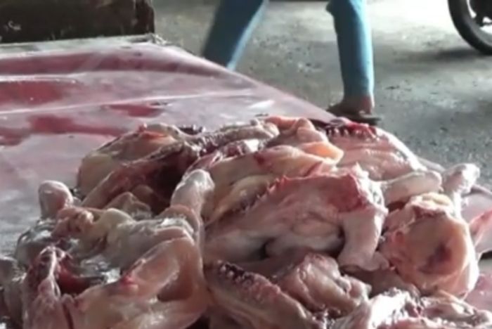 Harga Ayam Potong di Kuala Tungkal Tembus Rp40 Ribu per Kilo, Pedagang Mengeluh Sepinya Pembeli