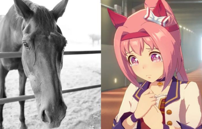 Haru Urara Meninggal Dunia Legenda Kuda Pacu Jepang yang Jadi Inspirasi Game Umamusume