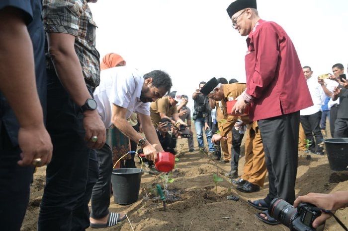 Mualem All Out Dukung Petani Cabai & Nilam di Gayo, Biar Inflasi Aman!