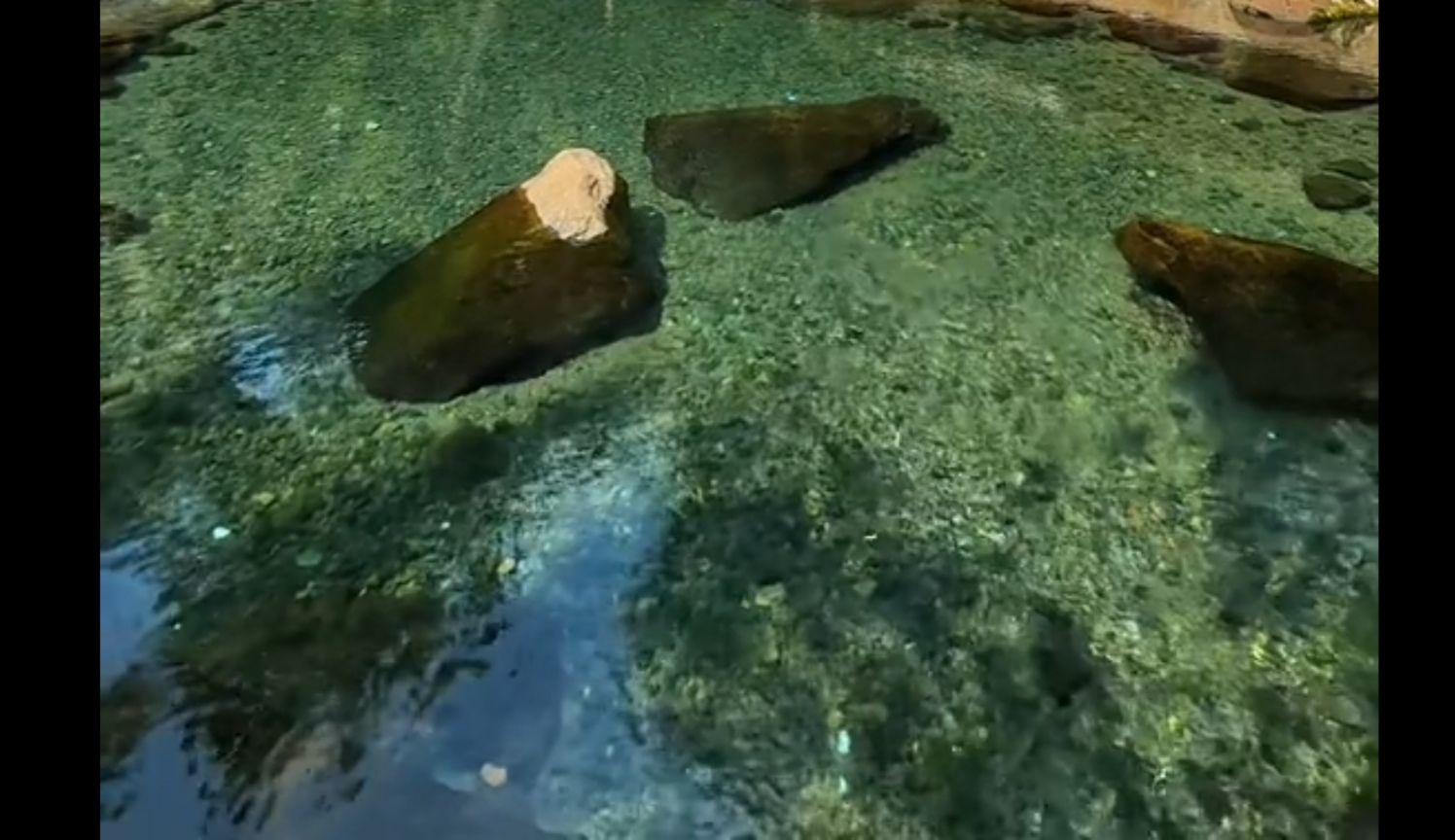 Pengen Liburan Ditanggal Tua Situ Cibulakan Ciomas Serang Bisa Menjadi Alternatif