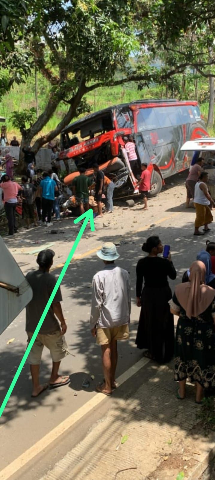 Bus Angkut Rombongan RS Bina Sehat Kecelakaan di Kawasan Gunung Bromo