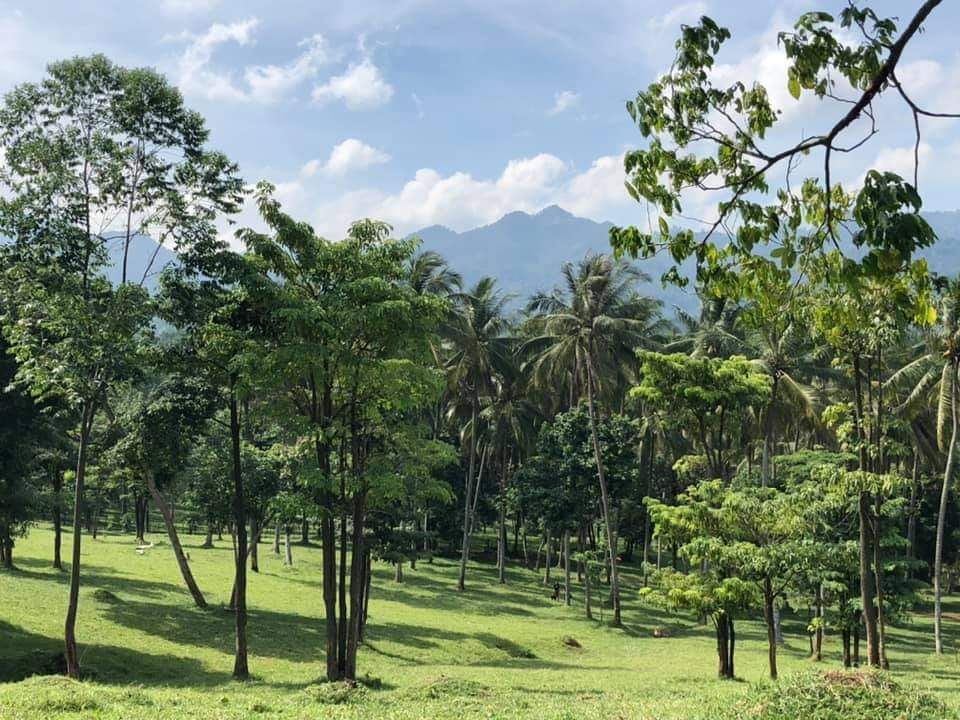 Bukit Waruwangi Pandarincang Serang Obyek Wisata Alam Lengkap Dengan Camping Ground