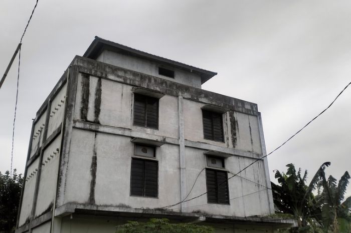 Pajak Sarang Burung Walet di Kabupaten Gorontalo Lesu, Realisasi Baru 33 Persen