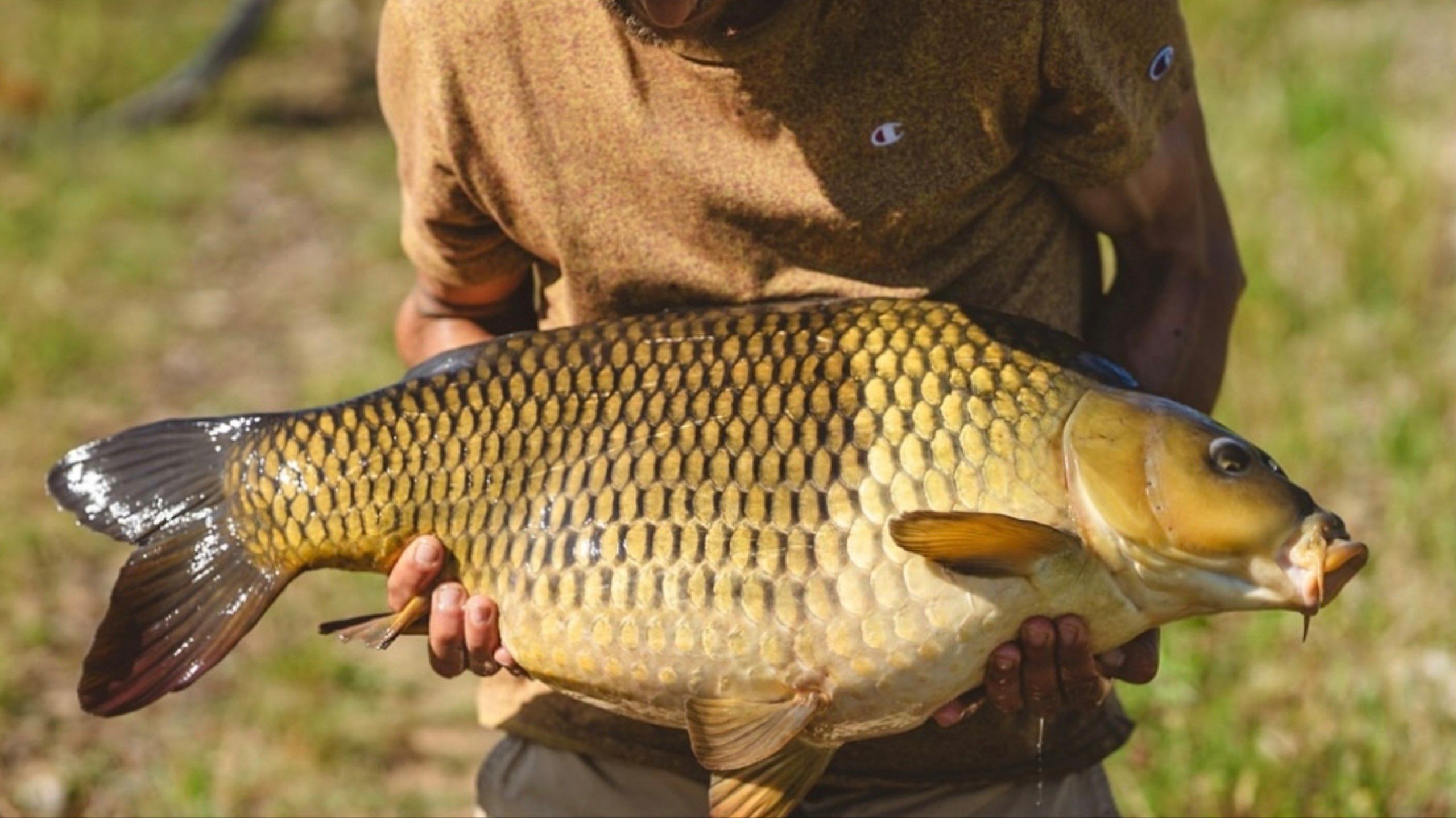 5 Arti Mimpi Mancing Ikan Besar menurut Primbon Jawa, Pertanda Baik?