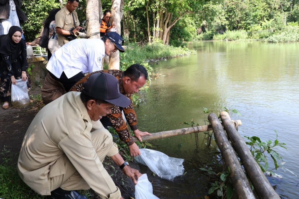 Gandeng Berbagai Pihak, UGM Tebarkan 5000 Bibit Wader Pari di Sungai Baros