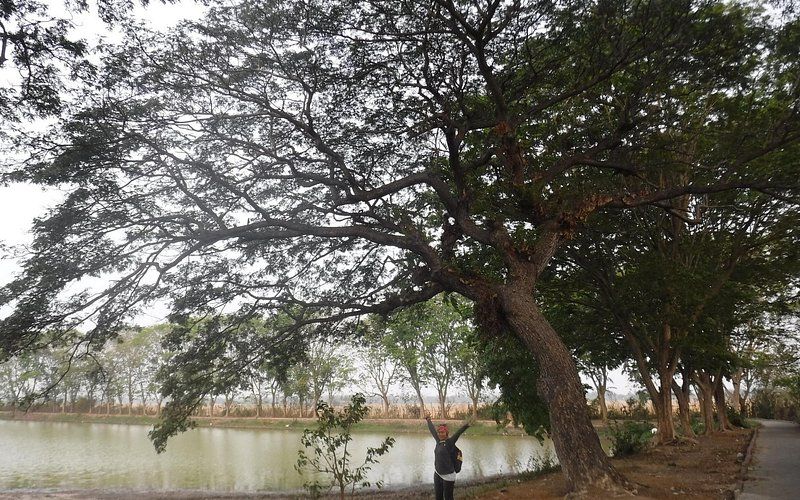 Berwisata Ke Danau Tasikardi Sekali Mengenang Sejarah Penting Banten