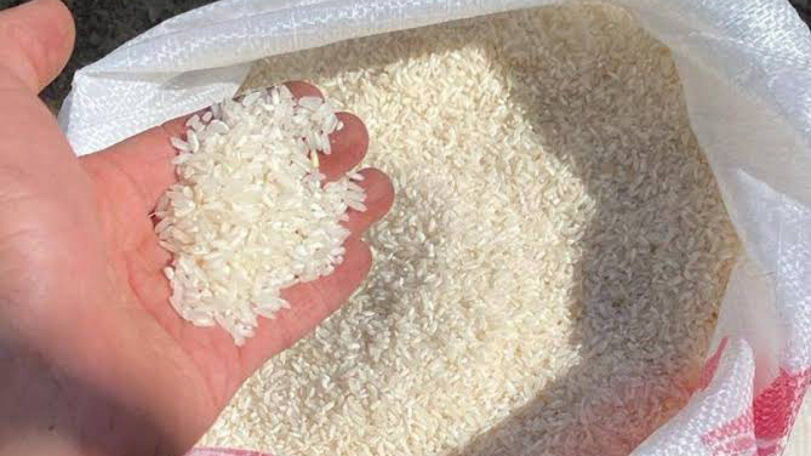 Kenaikan Harga Beras Di Tengah Melimpahnya Produksi: Apa Penyebabnya?