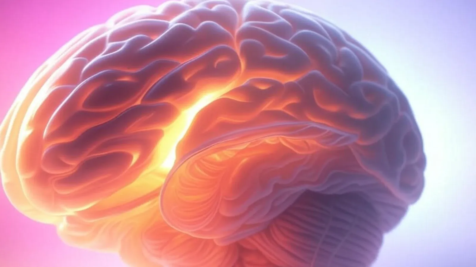 Temuan Baru Tentang Neurogénesis dan Kesehatan Otak di Usia Dewasa