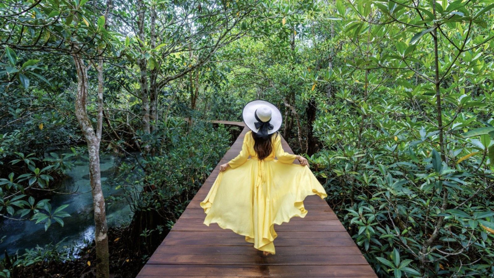 Pesona Wisata Mangrove di Indonesia: Lebih dari Sekadar Liburan