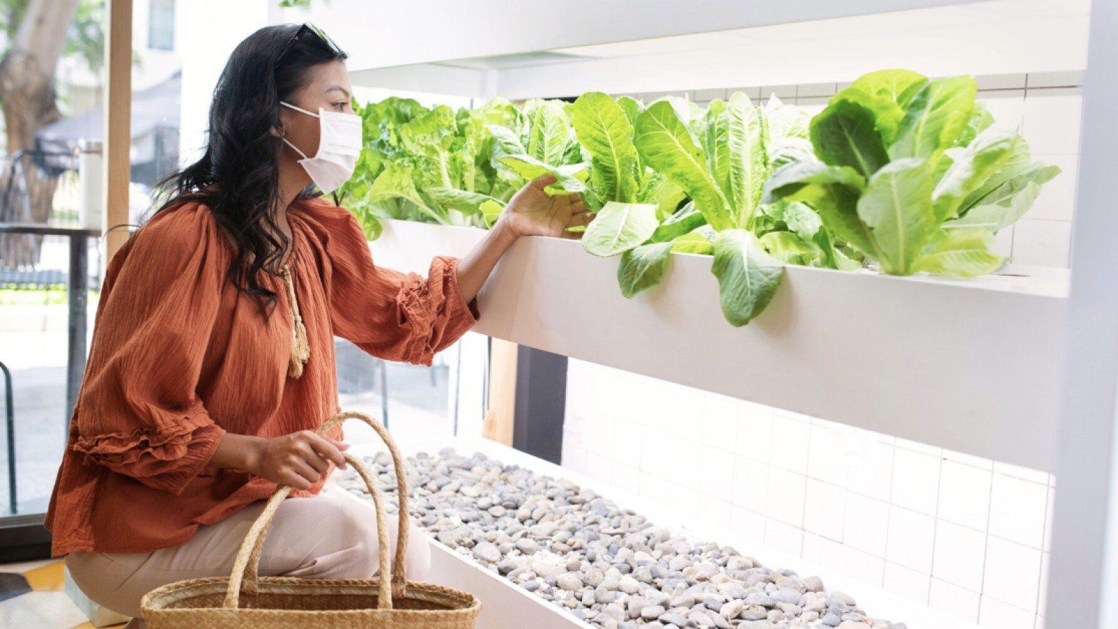 Urban Farming: Solusi Hijau untuk Kehidupan Kota di Indonesia