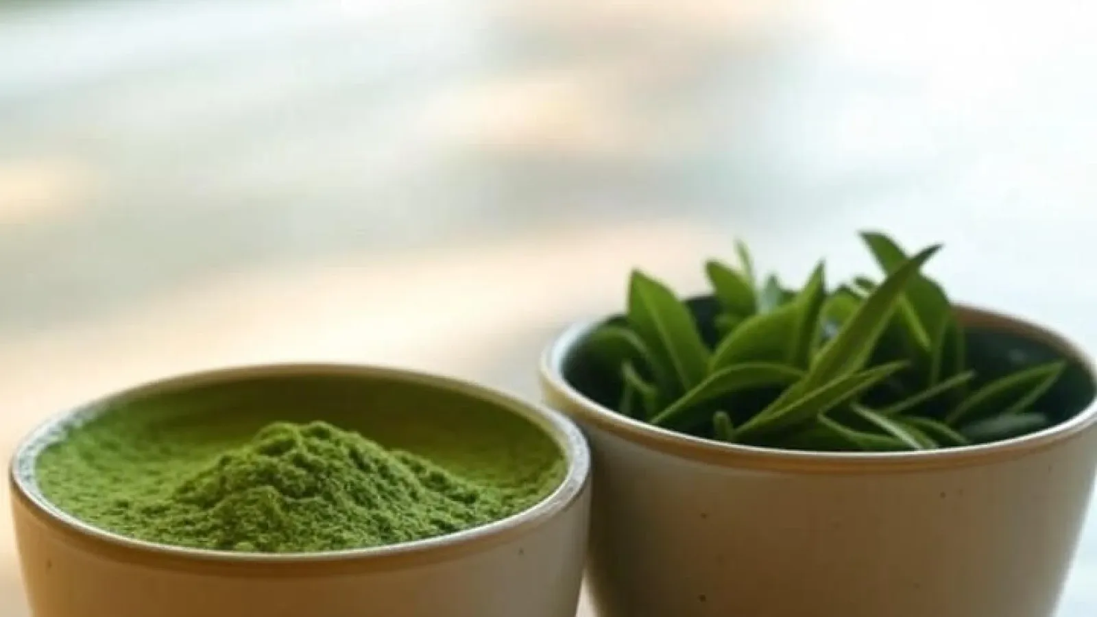 Perbedaan Matcha dan Green Tea: Memahami Teh Favorit Anda