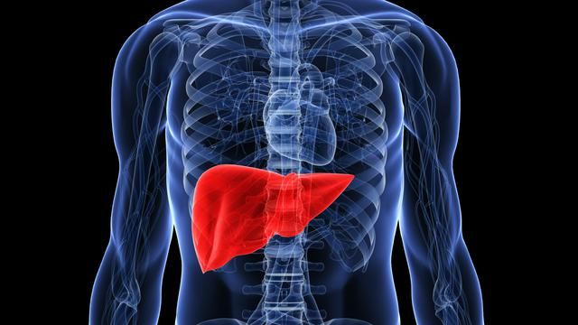 Guru Besar Unair Soroti Mutasi Virus Hepatitis B dan SARS-CoV-2