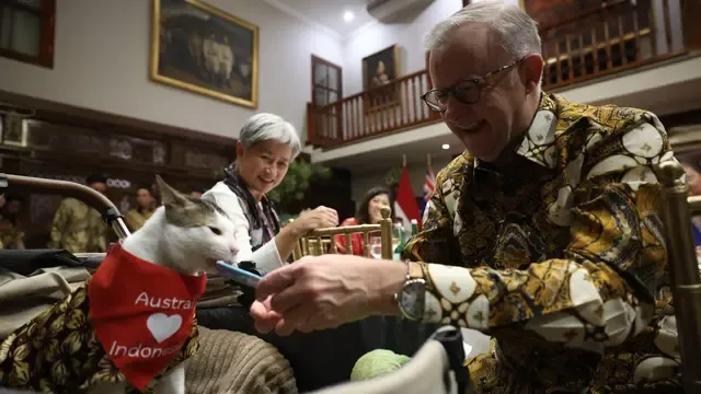 Penuh Kasih Sayang, PM Australia Beri Kalung Syal untuk Bobby Kertanegara si Kucing Prabowo