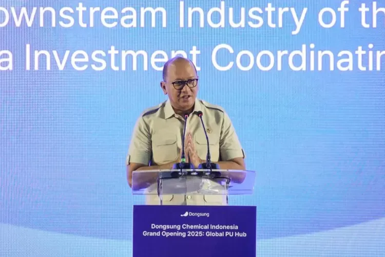 Rosan Resmikan Pabrik Kimia Dongsung di Karawang, Langkah Strategis untuk Ekonomi Indonesia