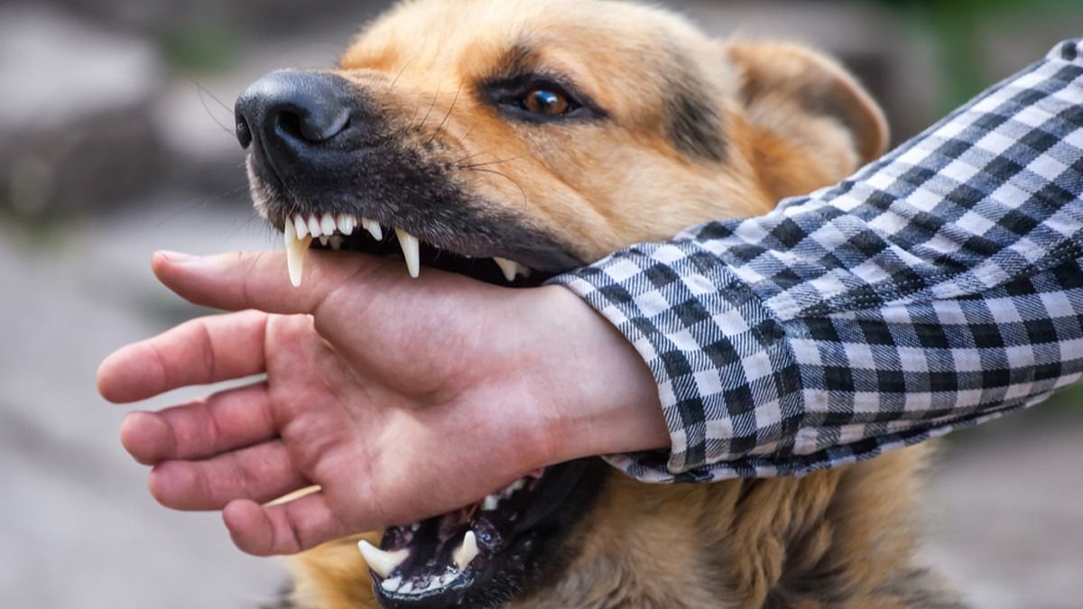 Louis Pasteur, Sang Ilmuwan yang Berani Suntik Vaksin Rabies ke Manusia