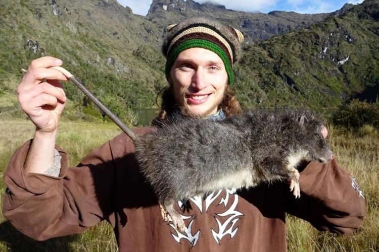 Ilmuwan Temukan Tikus Raksasa, Ukurannya Sebesar Kucing