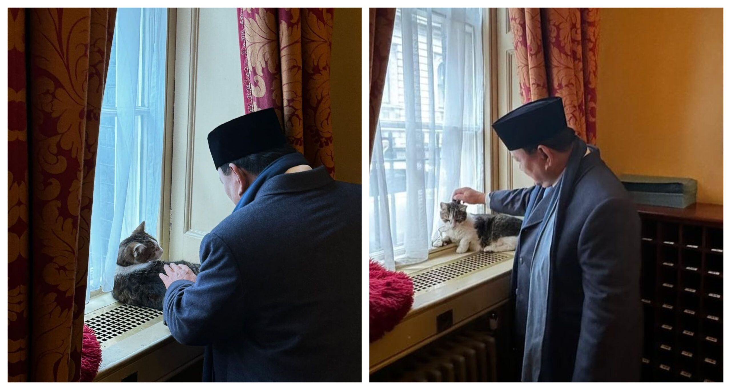 Presiden Prabowo Bertemu Kucing “Larry the Cat”, Diplomasi Gemas di Downing Street
