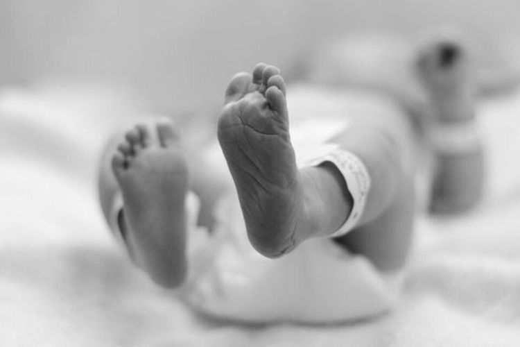 Polisi Tangkap Kakak Beradik di Medan Terkait Pengiriman Paket Berisi Mayat Bayi lewat Ojol