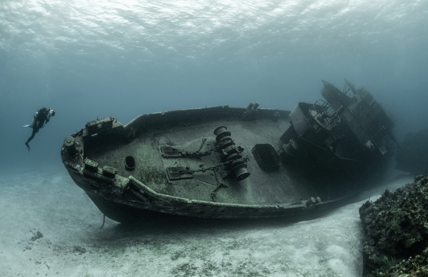 Mengungkap Rahasia Kehidupan di Laut Dalam yang Masih Belum Terpecahkan