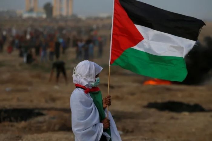 Apa Itu Solusi Dua Negara yang Diperjuangkan Indonesia untuk Palestina?