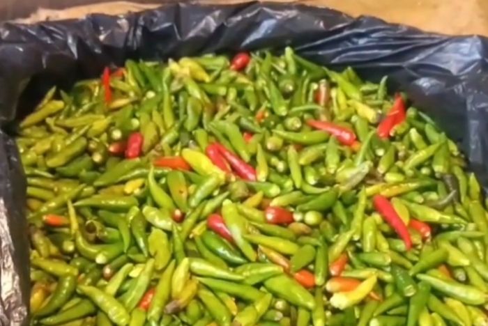 Harga Cabai di Pasar Induk Angso Duo Terus Merangkak Naik