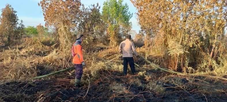 Kebakaran Hutan & Lahan Kembali Terjadi di Aceh Barat