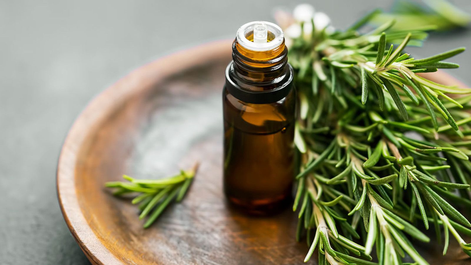 Manfaat Tea Tree Oil untuk Mengatasi Jerawat: Fakta dan Cara Penggunaan