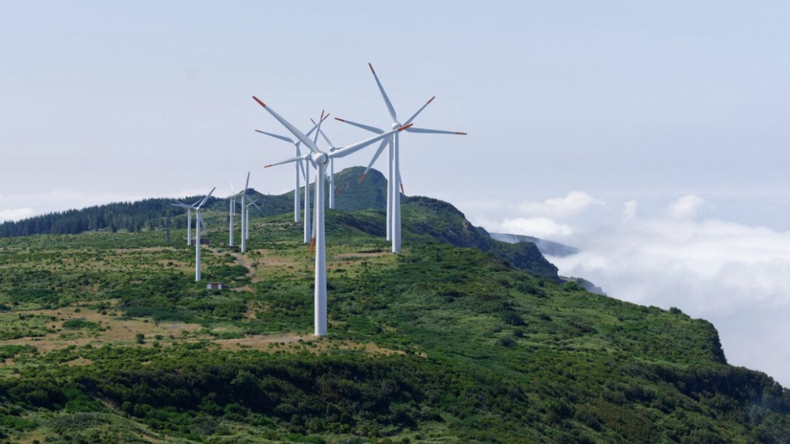 Energi Terbarukan: Solusi Utama Menghadapi Krisis Iklim di Indonesia