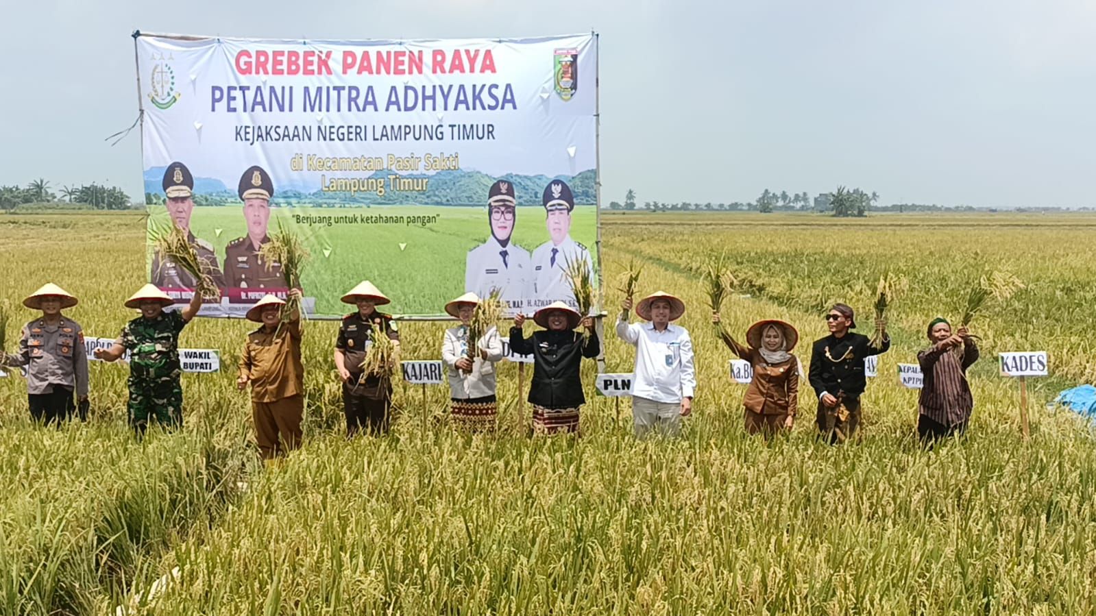 Bulog Lampung Siap Serap Gabah Kering Panen Petani dengan Harga Rp6.500 per Kilogram